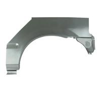 Repuesto del guardabarros Atrás izquierda Parte exterior 6504-03-2936591P BLIC