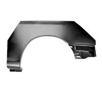 Repuesto del guardabarros Atrás izquierda Parte exterior 6504-03-9570591P BLIC