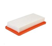 Repuestos De Filtros Compatibles Con Karcher DS5500, DS5600, DS5800 Y DS6000. Accesorios Y Herramientas De Repuesto For Elementos De Filtro Plano De Aspiradora.(2pcs)