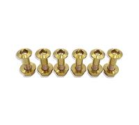 Repuestos Motocicletas 6 Unids/Pack De Piñón Cadena Aleación Titanio para Motocicleta, Tornillo Placa Fija, Soporte Tuerca para Rueda Bicicleta, Plato Cross(Gold)