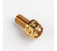 Repuestos Motocicletas Tornillo De Acero Inoxidable 304 M6 M8, Oro Galvanizado, Cabeza Grande, Coche Eléctrico, Motocicleta(M8-15mm)