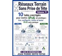 Réseaux Terrain Sans Prise de Tête Volume 11: 10 labs corrigés pour mettre IPv6 en Pratique : lire, configurer, router et tester IPv6 sans panique