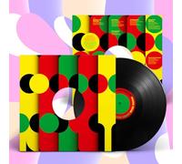 Reset in Dub [輸入アナログ盤 / DLコード / 1LP] (WIGLP538)_1833 [Analog]