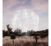 Reset (Vinyl) Bernhard Eder