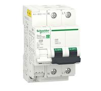 Protección sobretensiones transitorias y permanentes Schneider Electric R9L20625 1+N polos 25A