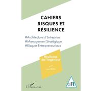 Résilience de l’Ingénieur: Architecture d’Entreprise: 7 (Cahiers Risques Et Resilience)
