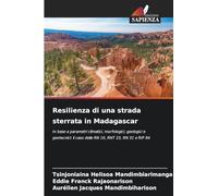 Resilienza di una strada sterrata in Madagascar: In base a parametri climatici, morfologici, geologici e geotecnici: il caso delle RN 10, RNT 23, RN 31 e RIP 84
