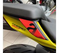 Resin Bike Adhesivos de Moto Compatibles con Aprilia Tuono-RS 660 2020-2025. Protecciones Agarraderas de Pasajero de Choques y Arañazos de Moto. Adhesivo 3D Resinado - Made in Italy