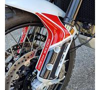 Resin Bike Adhesivos de Moto Compatibles con Ducati DesertX 2022-2026. Protección Defensas Laterales Guardabarros Moto de Choques y Arañazos de Moto. Adhesivo 3D Resinado - Made in Italy