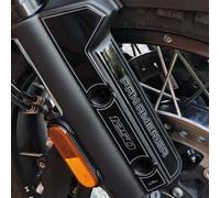 Resin Bike Adhesivos de Moto Compatibles con Harley Davidson Pan America 1250 2020-2023. Protecciones Guardabarros Defensas Laterales de Choques y Arañazos. Adhesivo 3D Resinado - Made in Italy