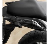 Resin Bike Adhesivos de Moto Compatibles con Kawasaki Versys 650 2024. Protección Agarraderas de Pasajero de Choques y Arañazos de Moto. Pegatinas 3D Resinadas Made in Italy