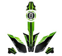 Resin Bike Adhesivos de Moto Compatibles con Kawasaki Z900 2023-2024. Protección del Tanque, Guardabarros, Paramanos de Choques y Arañazos de Moto. Kit Adhesivo 3D Resinado - Made in Italy