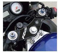 Resin Bike Adhesivos de Moto Compatibles con Yamaha R6 1999-2002. Protección Dirección del Manubrio de Choques y Arañazos de Moto. Adhesivo 3D Resinado - Made in Italy