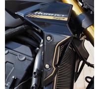 Resin Bike Pegatinas Moto Compatibles con Honda CB1000 Hornet SP 2025-2026. Protectores Laterales/Radiador contra Golpes y Arañazos. Pegatinas Resinadas con Efecto 3D Made in Italy