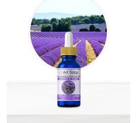 Resin Pro ArtSoap Fragancia para Jabones Aromas Lavanda de Siena, Aceites Perfumados para Jabón, Aceite Esencial para la Creación de Jabones DIY, Fragancias para Jabones Artesanos, 100 ml