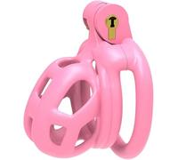 Resina De Nylon Rosa, Jaula De PáJaros SúPer PequeñA, Adecuada para Equipos Deportivos Interiores, FáCil De Llevar, Mini Cerradura PortáTil, Regalo De Emparejamiento F - 24