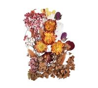 Resina Dried Flowers - Flora Real Colorful | 10 Colores Suministros para hacer velas perfumadas, Resinas epoxi, colgantes, collares, joyería, muestras botánicas prensadas para kits de