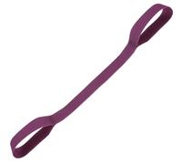 Resistance Bands for Arms, Arm Exercise Tension Rope, Silicone Stretching Strap, Back Workout Equipment with Handles, Versatile Exercise Equipment for Strength Training and Muscle Toning, 43x3cm