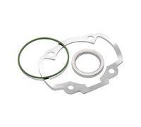 Resistente al Juego Polini AC 70 CC Fundido Peugeot, Buxy, ELYSEO, Elystar, Jet Force C-Tech, Tsdi, Looxor, Ludix, Metal de x, New Viva City, rapido, Speedfight 2, 1, 3, Squab, Tkr, Viva City 50