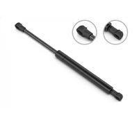 STABILUS Muelle neumático maletero 023216 289 mm 380 N 100 mm OE 51801718 para FIAT Linea