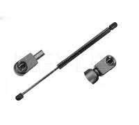 Resorte de gas del maletero 16-40 910 0030 MEYLE para RENAULT
