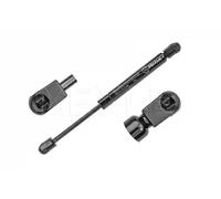 Resorte de gas del maletero 740 910 0038 MEYLE para FORD FOCUS II Sedán