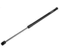 Resorte de gas del maletero AE-HY-061 NTY