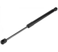 Resorte de gas del maletero AE-HY-062 NTY