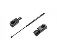 Resorte de gas del maletero ambos lados 340 910 0022 MEYLE para MINI MINI