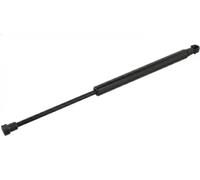Resorte de gas del maletero ambos lados 34438 FEBI BILSTEIN para CITROËN C5 III