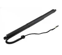 Resorte de gas del maletero Atrás derecha AE-BM-071 NTY para BMW X5