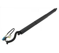 Resorte de gas del maletero Atrás izquierda AE-BM-098 NTY para BMW X5