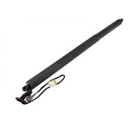Resorte de gas del maletero Atrás izquierda AE-FR-073 NTY para FORD S-MAX