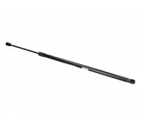 Resorte de gas del maletero ZSA03038 ASHIKA para FORD C-MAX II