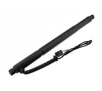 Resorte de gas del piso del maletero AE-BM-076 NTY para BMW X6