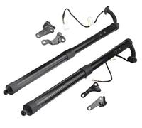 Resorte De Gas Eléctrico Para Toyota Para RAV-4 2013-2018 Amortiguador De Gas Eléctrico Para Portón Trasero 68910-49135 68920-49135 6891049135 6892049135 Amortiguador De Maletero(LH and RH)