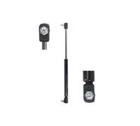 Resorte de gas MAGNUM TECHNOLOGY MGS057