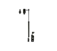 Resorte de gas del maletero posterior 8104273 LESJÖFORS para AUDI Q7 Q8 Q7 Van