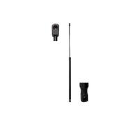 Resorte de gas del maletero ambos lados MGS1004 Magnum Technology para FIAT