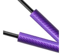 Resorte De gas Resortes De Gas Para Portón Trasero De Coche, Soporte De Elevación Para Ford Para Fiesta Mk8 Y 8.5 Hatchback (2017-2024) Ventana trasera Maletero(Carbón violeta)