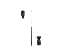 STABILUS 7498EW Amortiguador de maletero