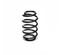 Resorte de suspensión Eje delantero R10193 EIBACH para VW SKODA AUDI