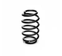 Resorte de suspensión Eje delantero R10196 EIBACH para AUDI VW SEAT SKODA