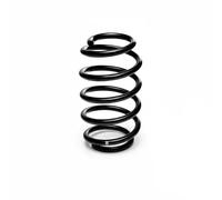 Resorte de suspensión Eje delantero R10322 EIBACH para VW SKODA SEAT