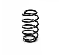 Resorte de suspensión EIBACH R10699