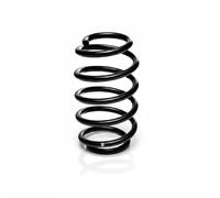 Resorte de suspensión EIBACH R10700