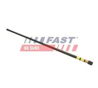 FAST FT13602 Muelle de suspensión