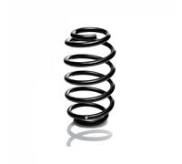 Resorte de suspensión Eje trasero R10618 EIBACH para AUDI A6 C6 Avant