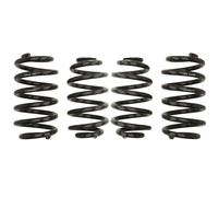 Resorte de suspensión Pro-Kit EIBACH E10-15-003-01-22