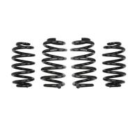 Resorte de suspensión Pro-Kit EIBACH E10-15-003-08-22